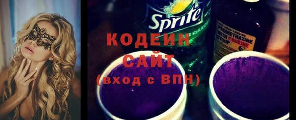 молекула духа Арсеньев