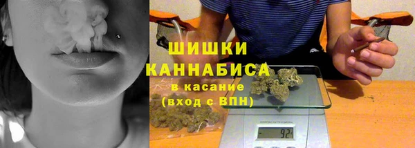 молекула духа Арсеньев