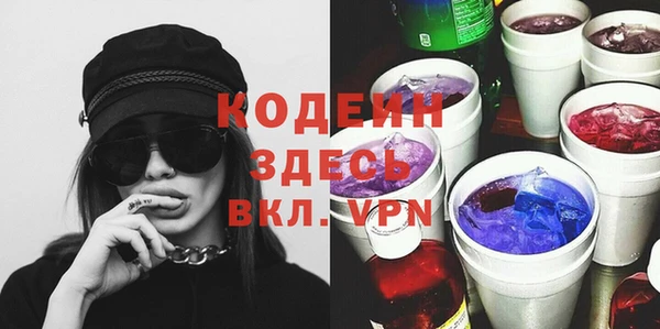 молекула духа Арсеньев